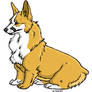 Pembroke Welsh Corgi