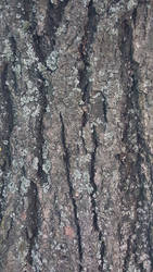 Texture 6