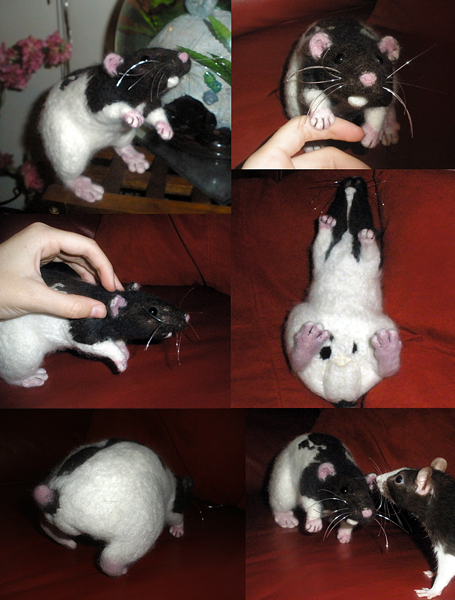 :Needle Felted Rat Stumpy: