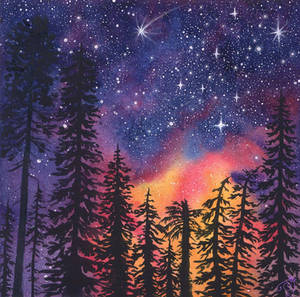 Starry Night Sky in Forest
