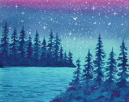 Starry night on lake