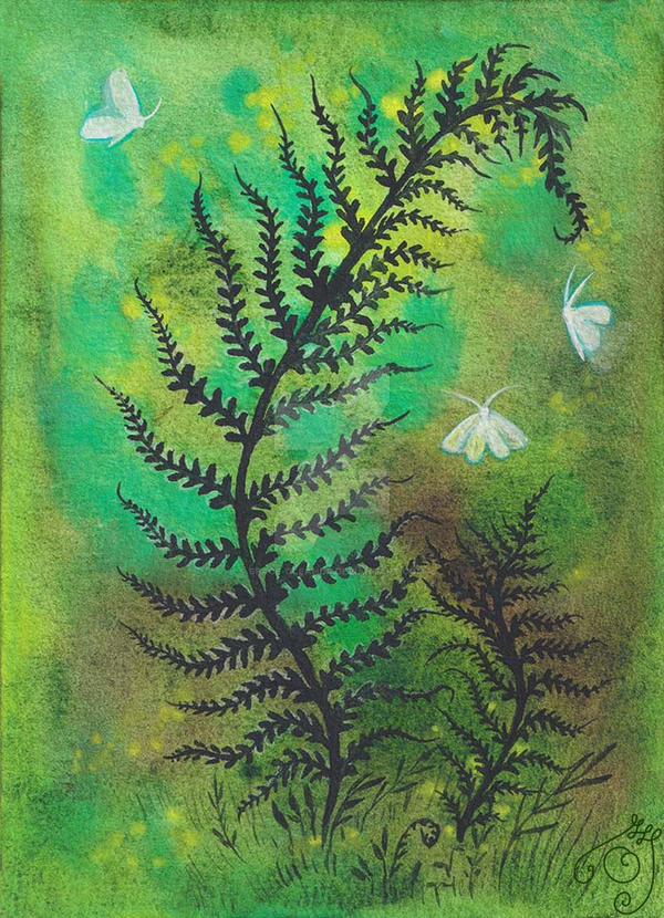 A little forest fairy tale