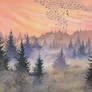 A magical foggy autumn morning in the mountains