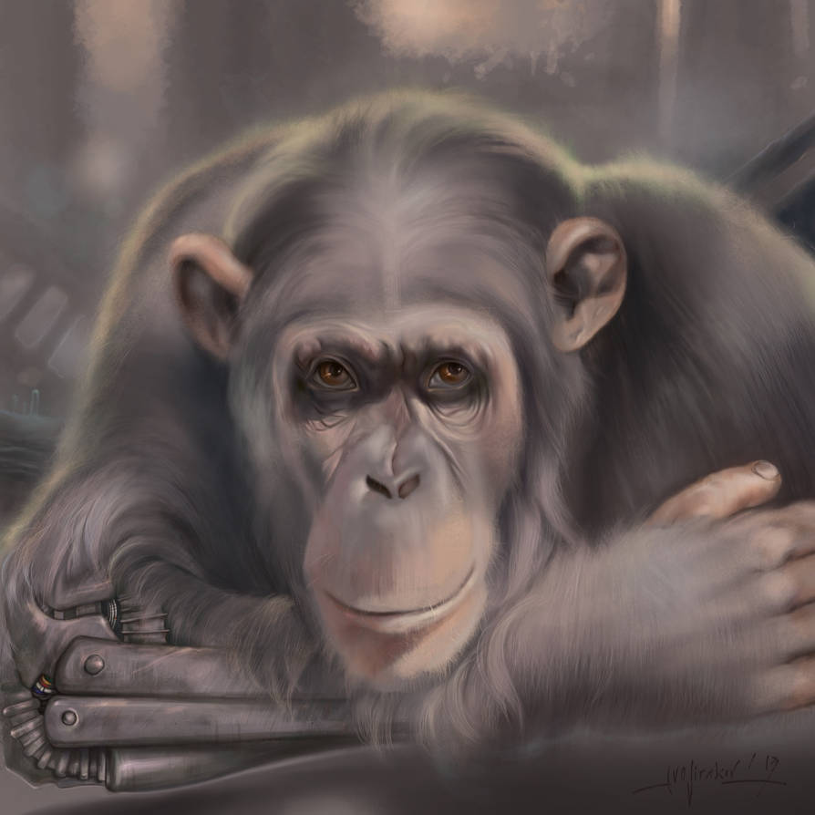 Bionic Monkey by ivosirakov on DeviantArt