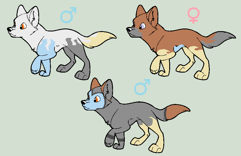 Pups for Aerodil