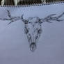 Longhorn skull drawing