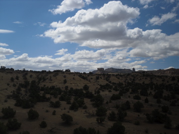 sand trees and clouds