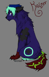 Kaizer the shadow wolf