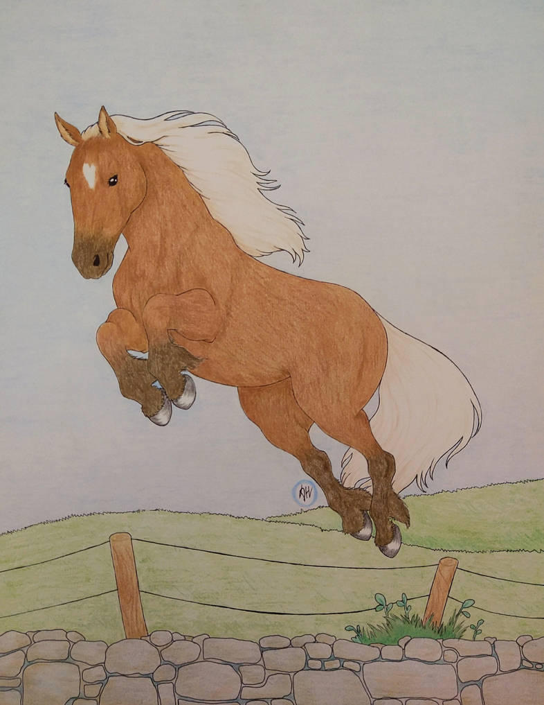 Deviantart Animal Jumping Horse jump by DennyHappy on DeviantArt