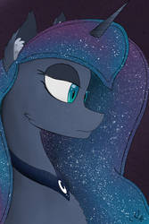 Night Time Horse