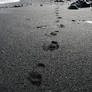 Follow my footsteps