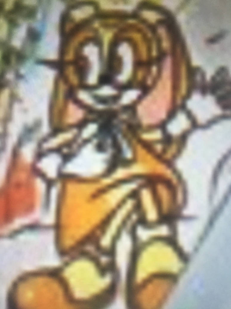 Cream the Rabbit by OhYeahCartoonsFan on DeviantArt