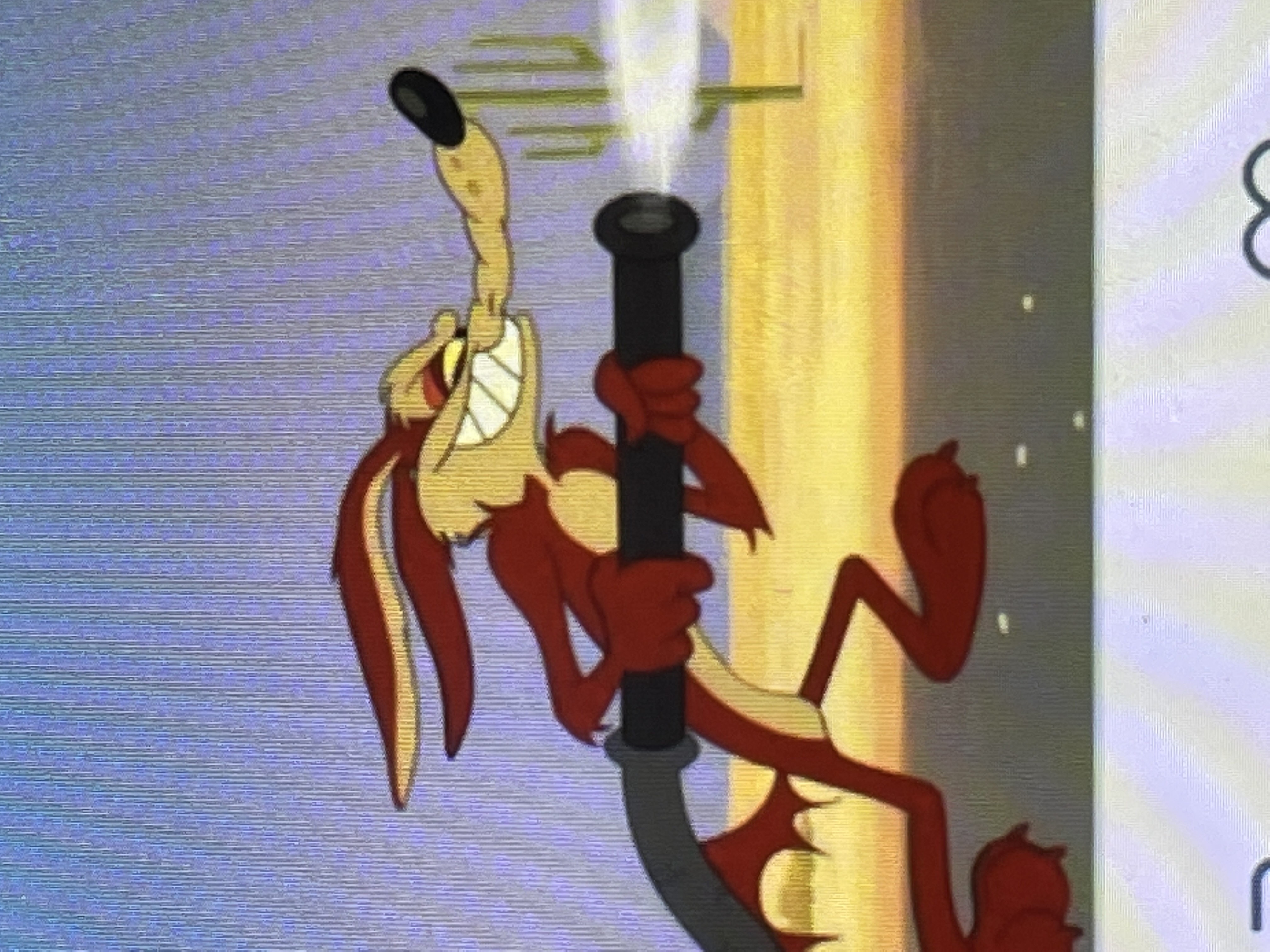 Wile E. Coyote by OhYeahCartoonsFan on DeviantArt