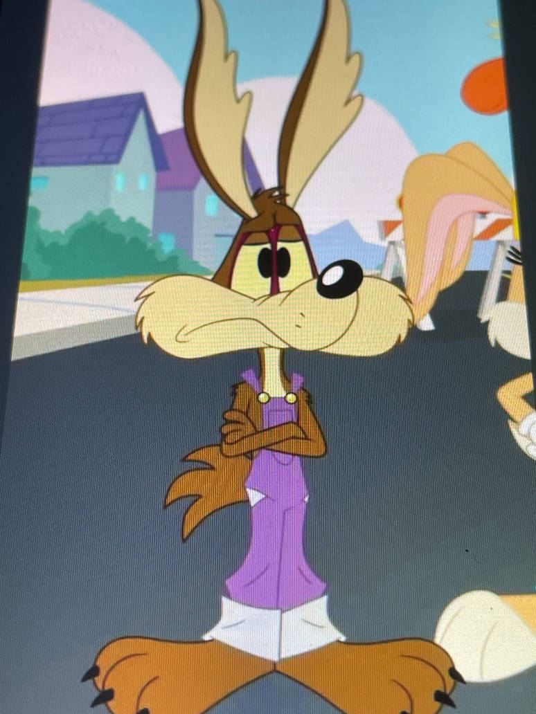 Wile E. Coyote by OhYeahCartoonsFan on DeviantArt