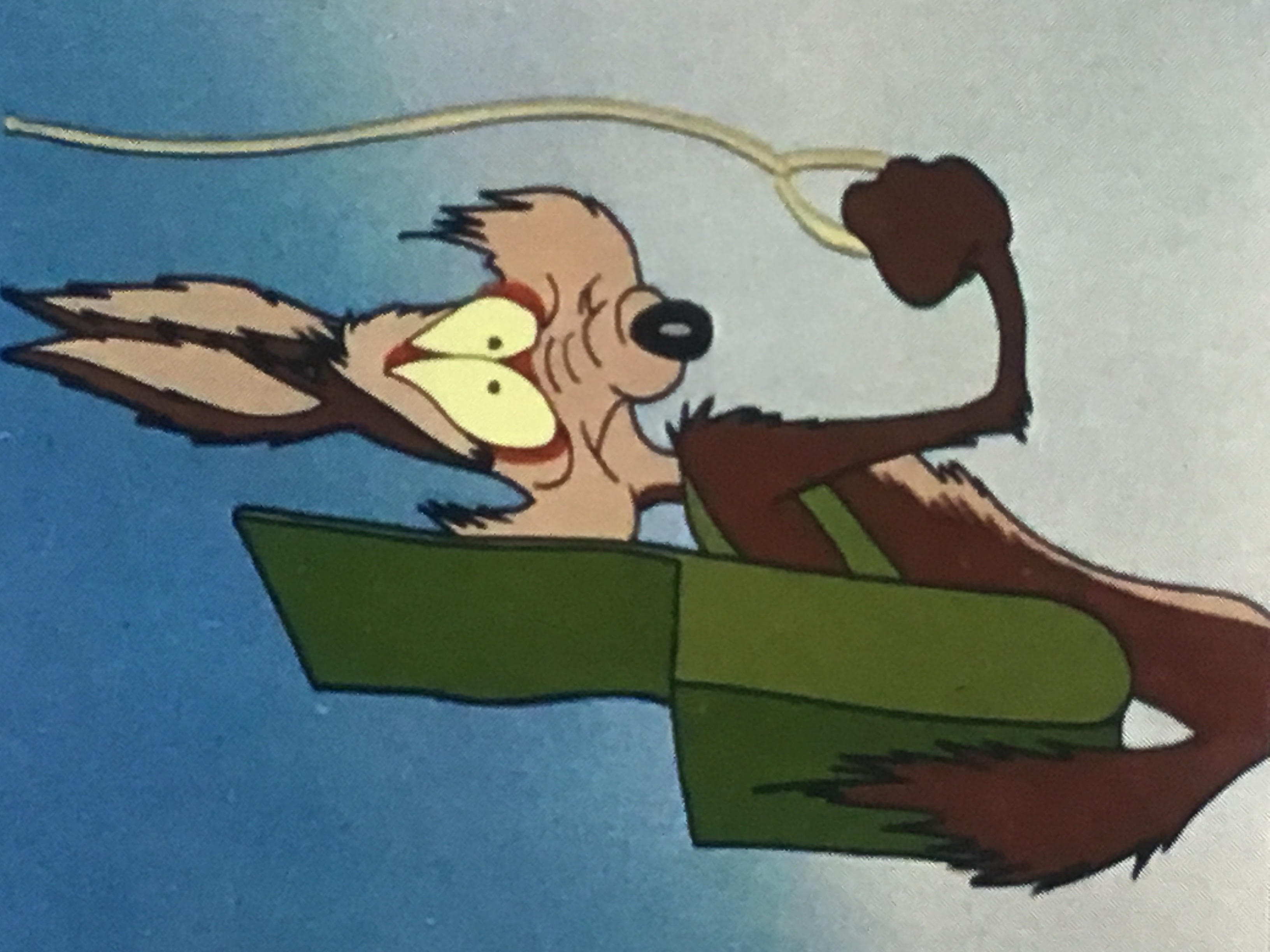 Wile E Coyote Anvil