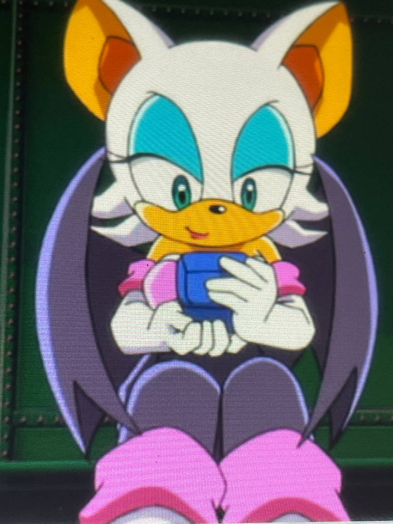 Rouge the Bat by OhYeahCartoonsFan on DeviantArt