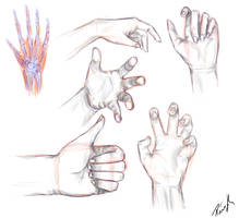 Hand Study