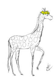 giraffe