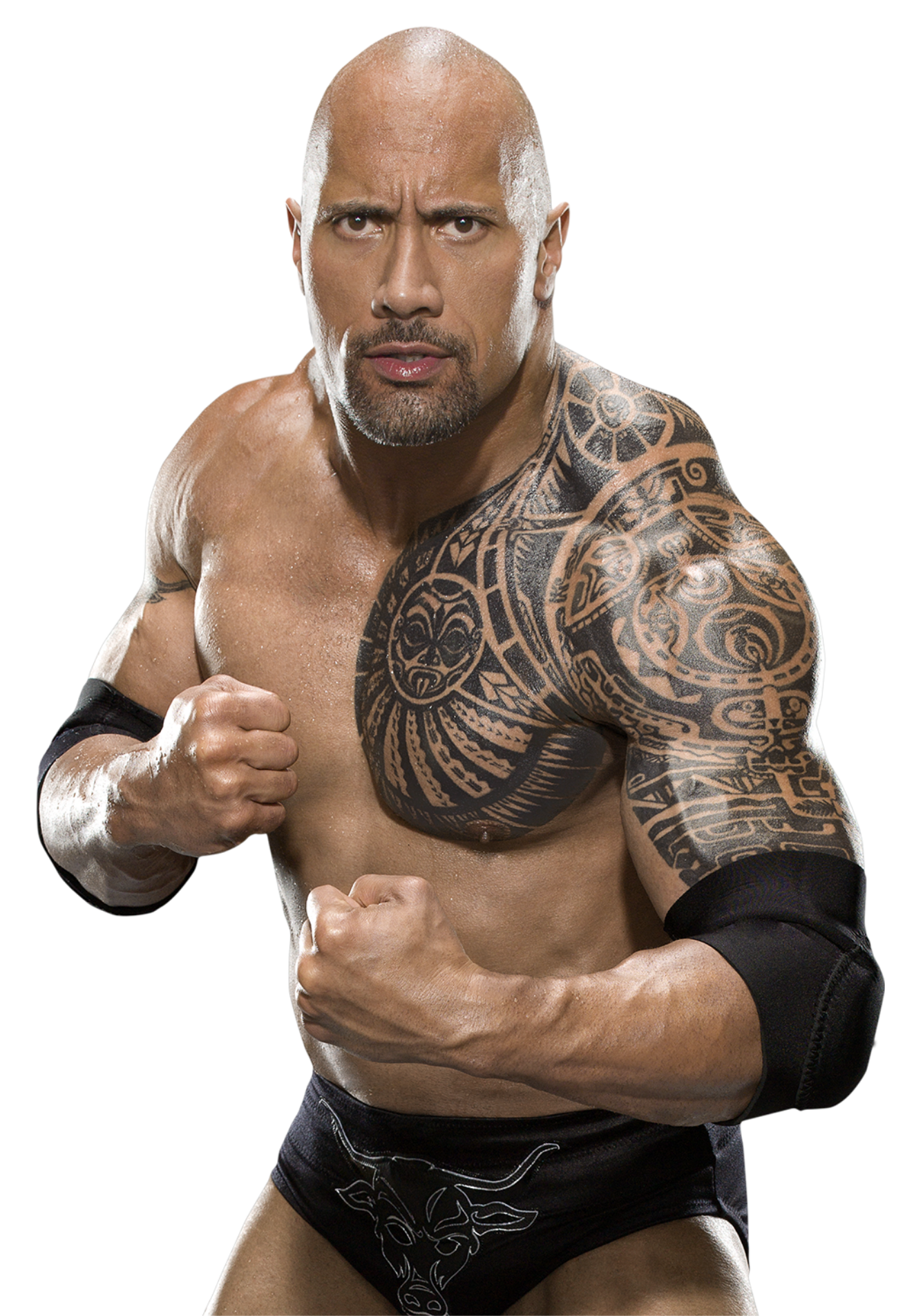 Dwayne Johnson, The Rock Sideview, movies, the rock png