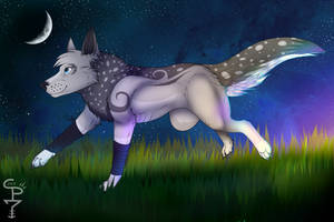 Run Free - Haildawn Commission