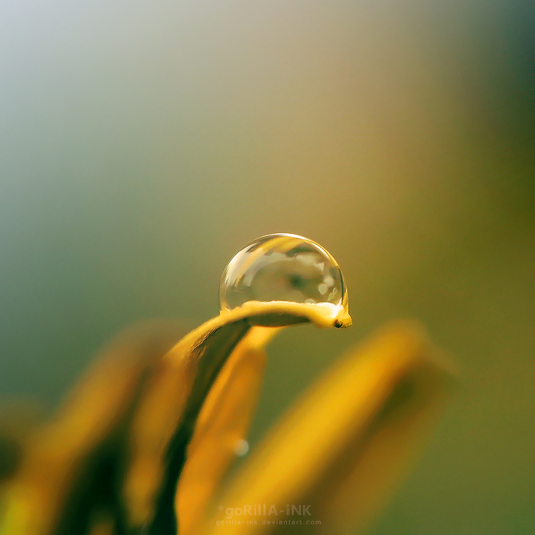 The Beauty of a Spring Rain