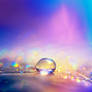 Lights and Pieces