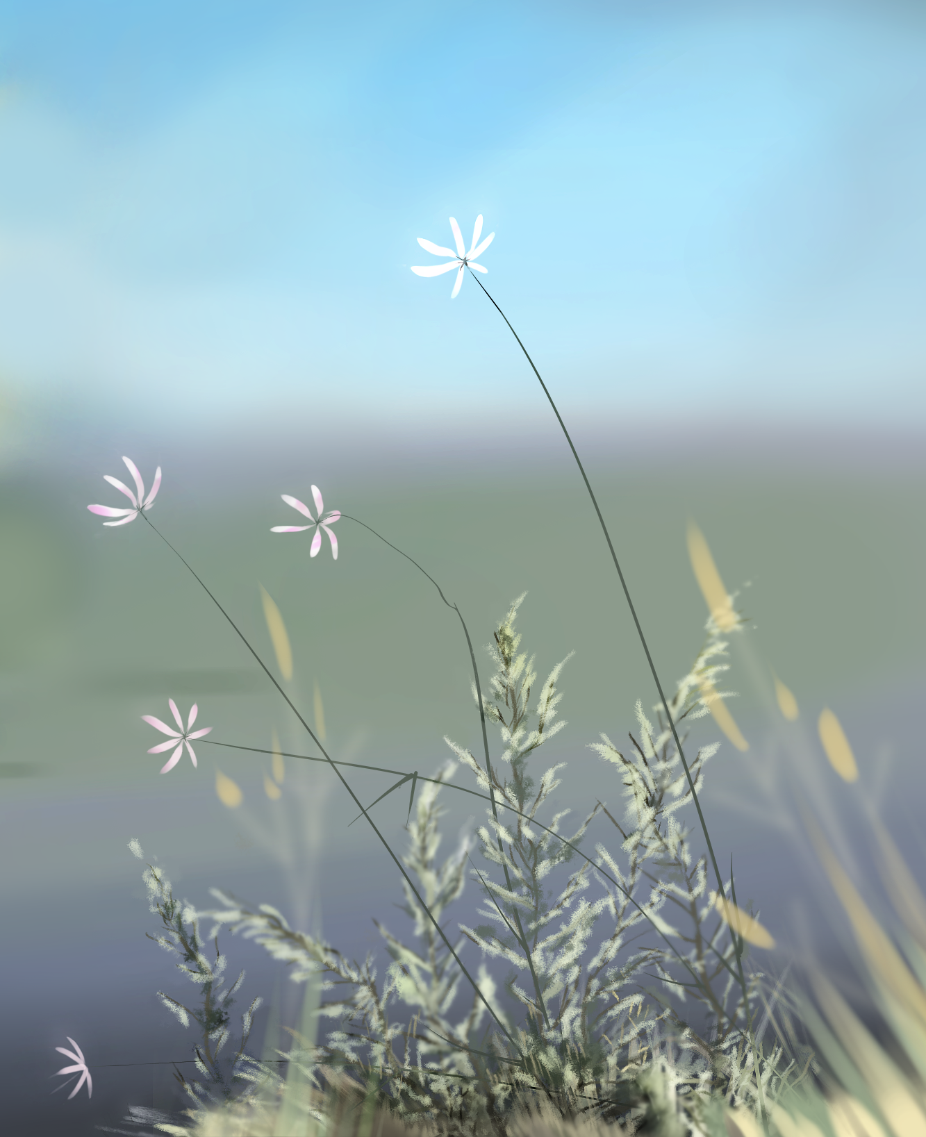 flowers on a hill