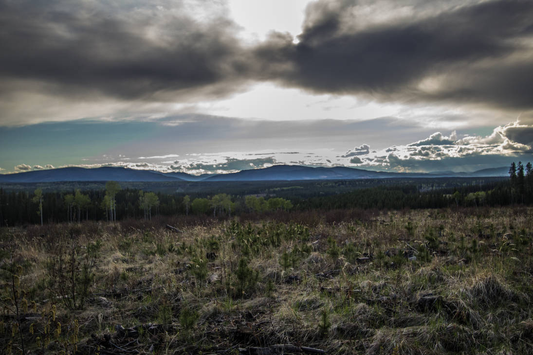 Grassy Hill by oddmountain