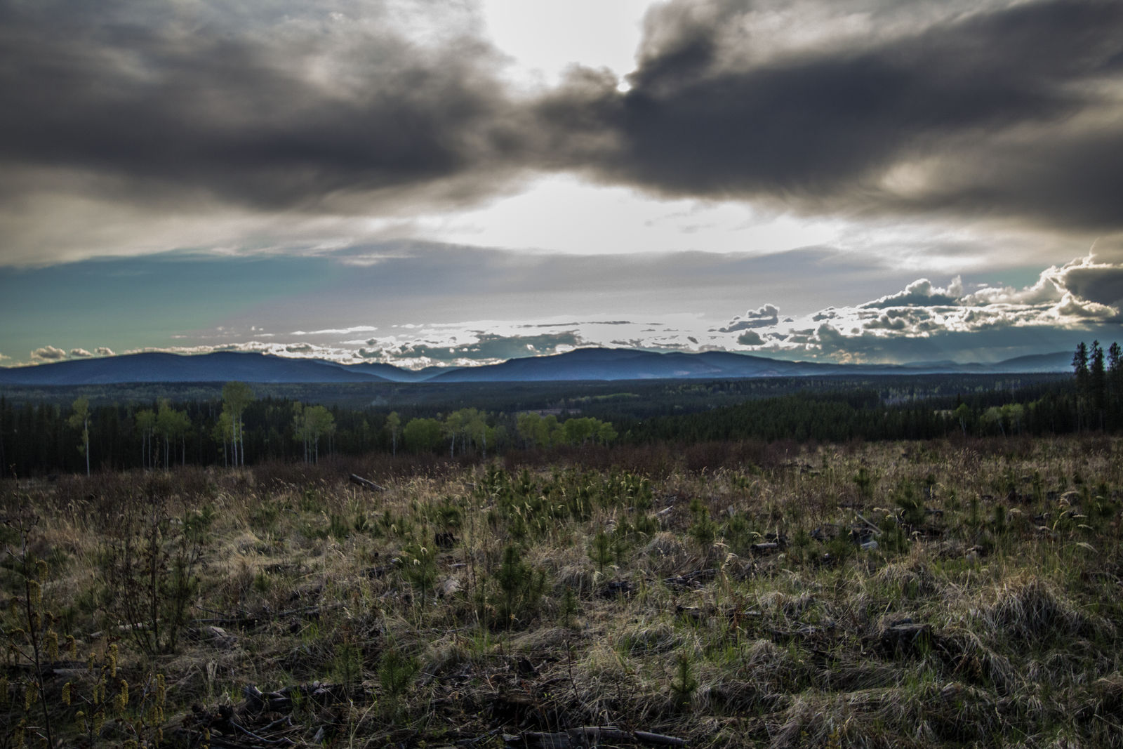 Grassy Hill by oddmountain
