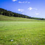 Large Green Meadow