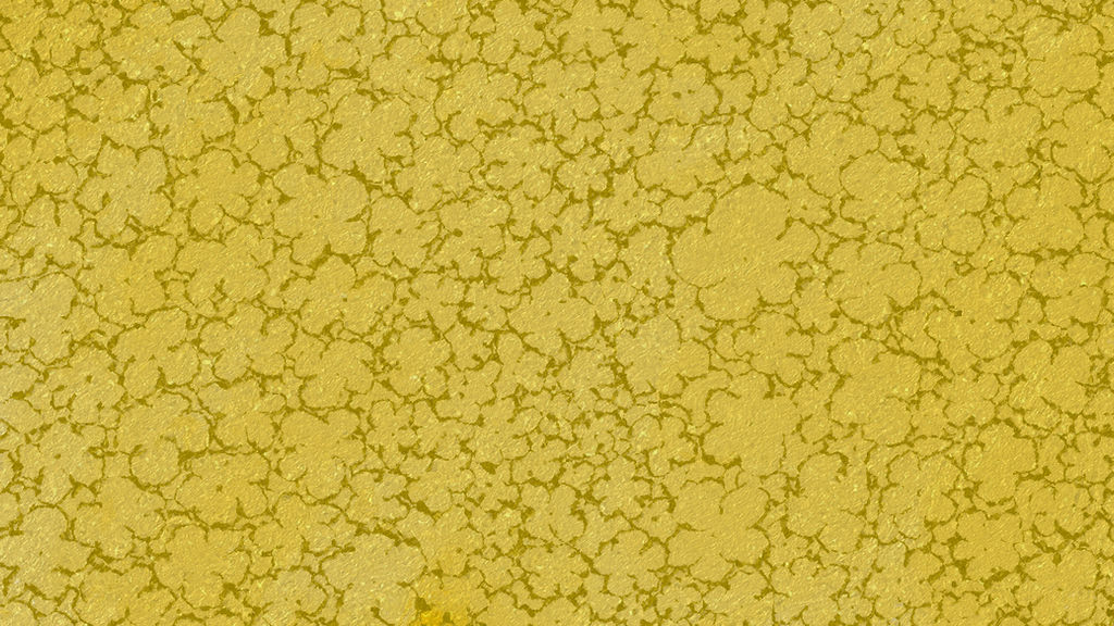 Golden Flowers Ut ay Week 4 5 By Coolskeleton03 On Deviantart Golden Flowers Ut ay Week 4 5 By Coolskeleton03 On Deviantart