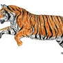 Running Tiger