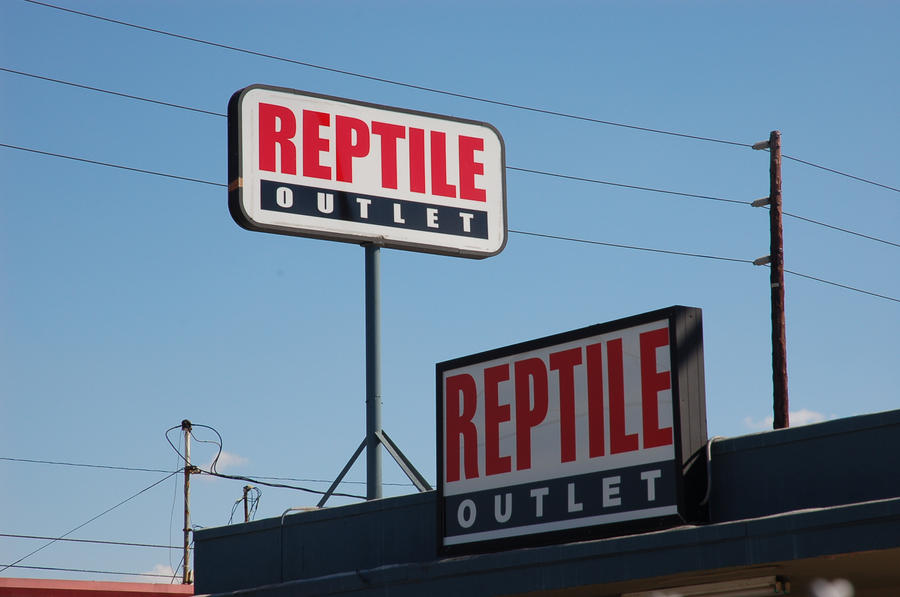 Reptile Outlet