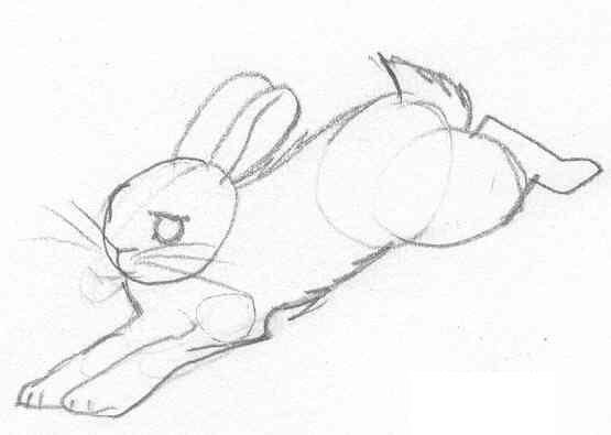 Jumping Rabbit Drawing