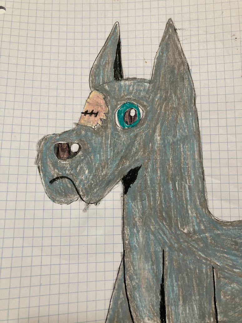 Old Riven-Eye by TimbersPineEN17 on DeviantArt