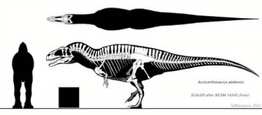 Acrocanthosaurus Atokensis Skeletal