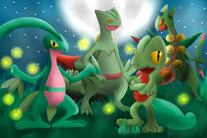 Hoenn Starter #1