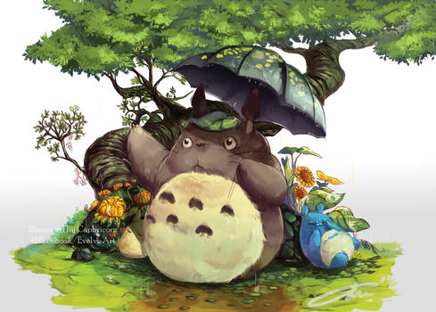 Totoro