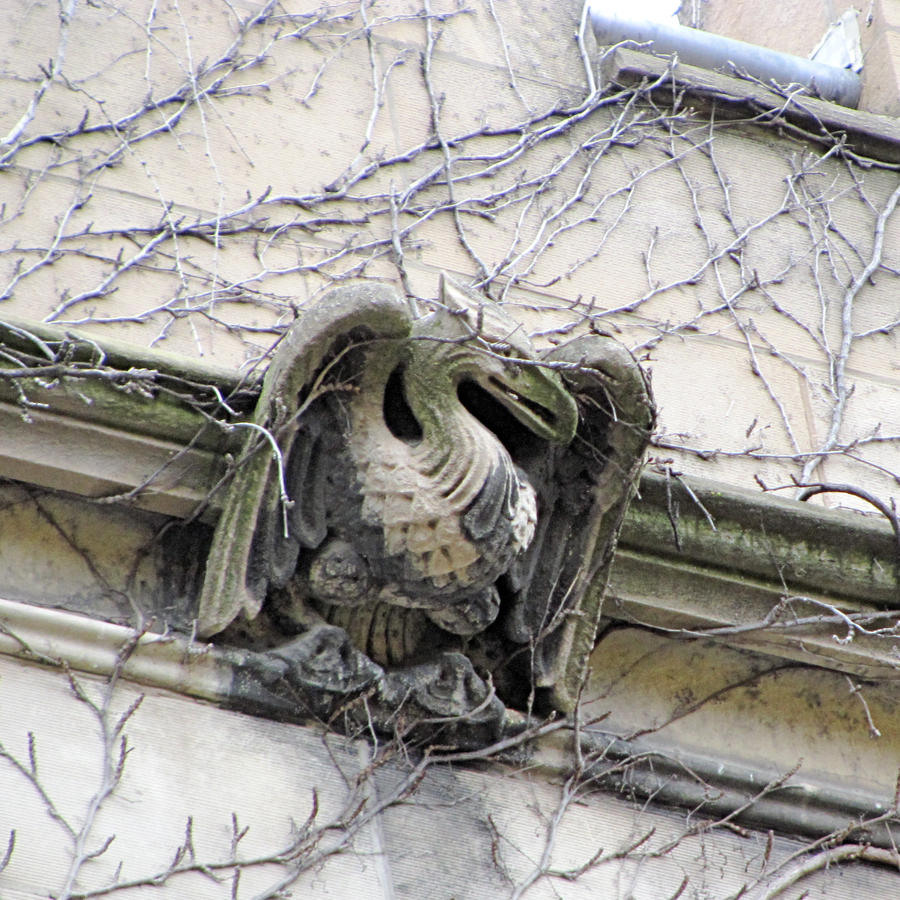 Viney Bird Gargoyle