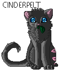 Cinderpelt Journal doll~ Free to use