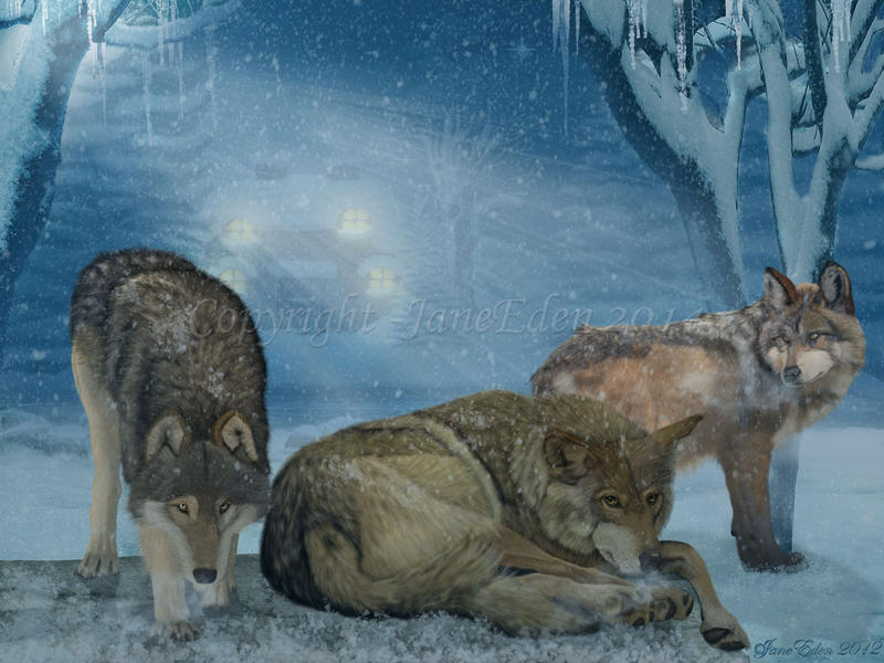 Wolves Seeking Shelter