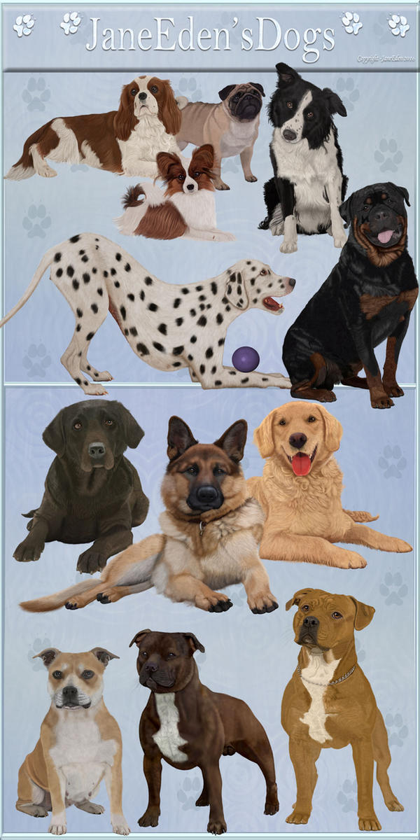 JaneEden'sDogs - png stock by JaneEden