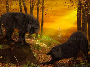 Wolves-in--atumn-woodland