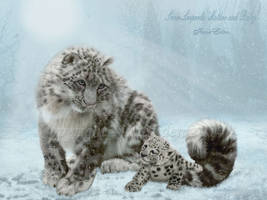 Snow Leopards