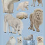 JaneEden's White Creatures stock