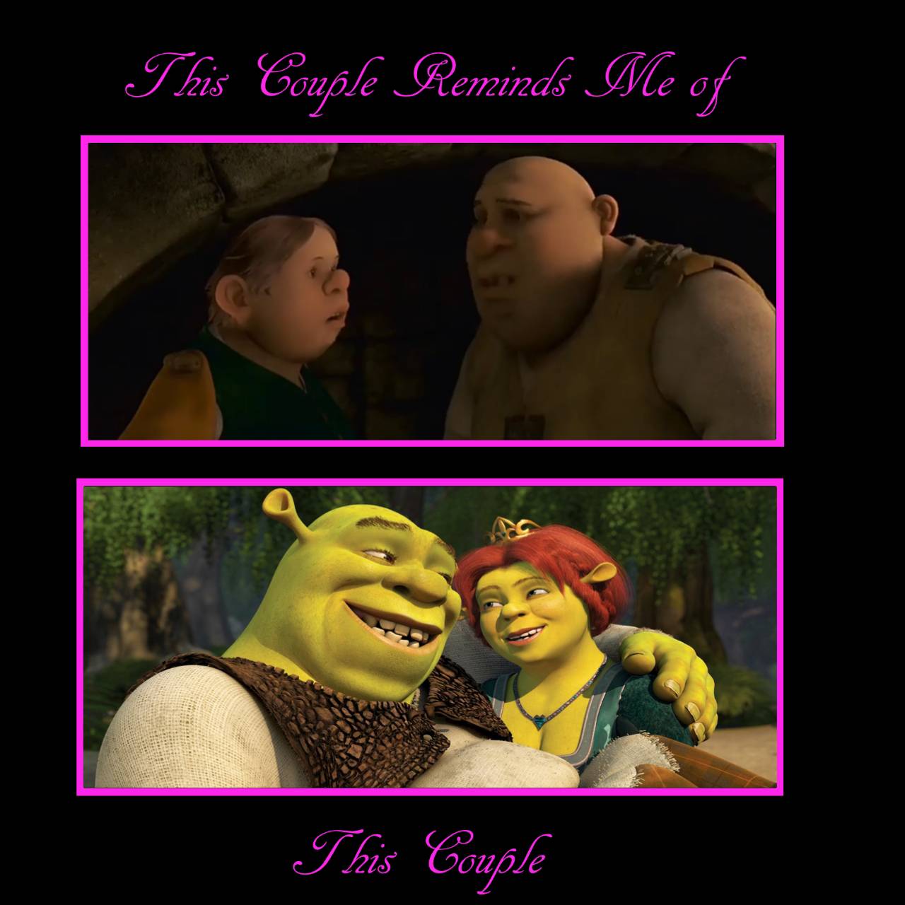 Fiona And Shrek by Cam0722 on DeviantArt