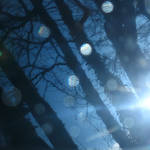 snowflake_8567 by sjfbetty