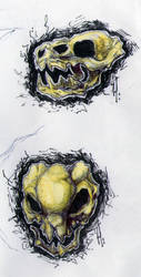 Skulls