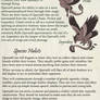 Quetzalli Species Information Sheet