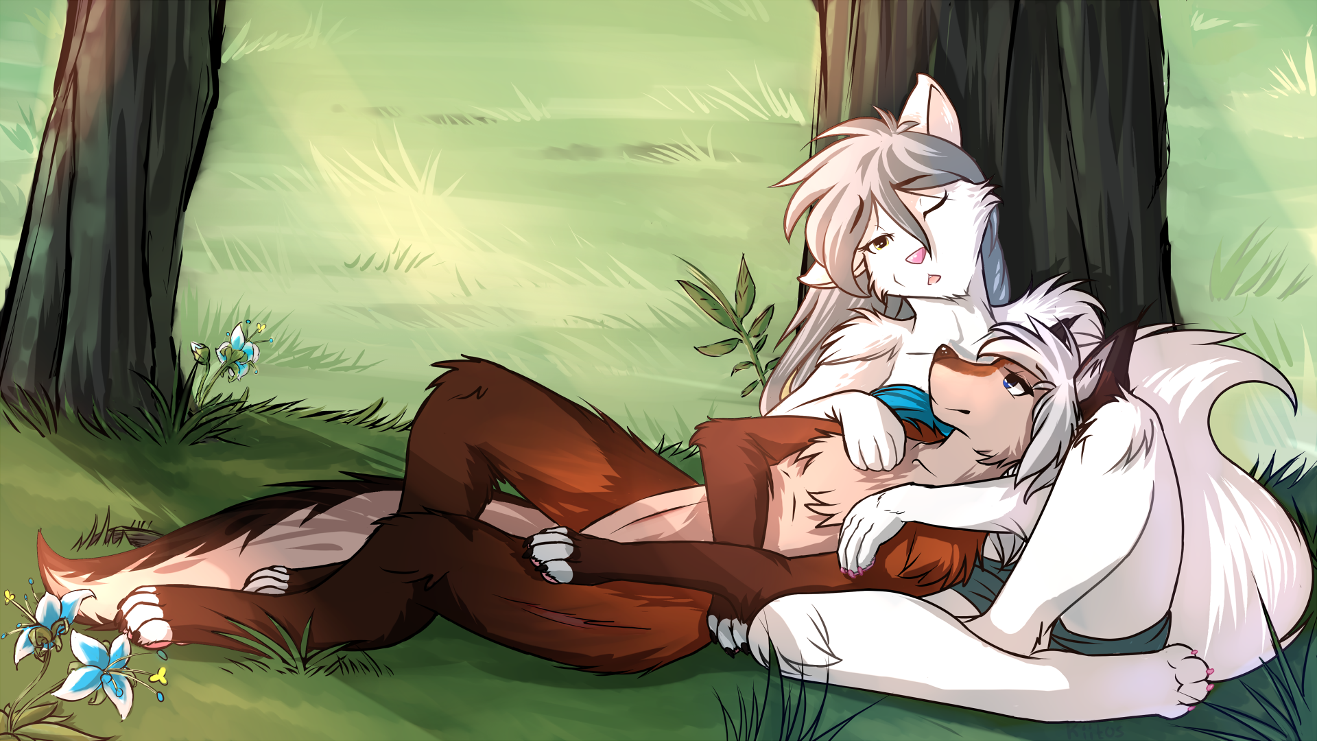 Twokinds лисы